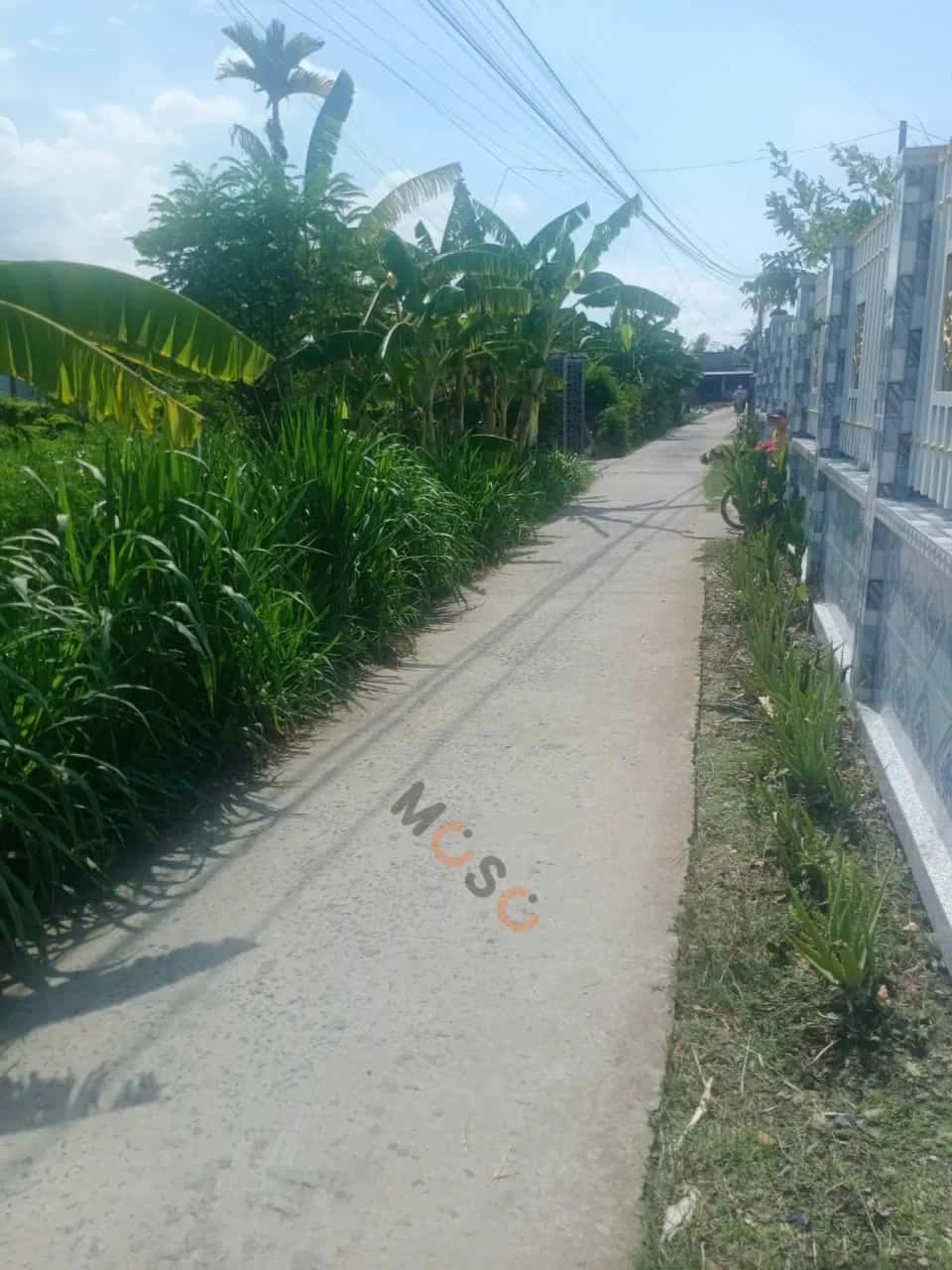 Bán đất Thửa 984 - Tờ 21 ấp Ông Cai Thành phố Gò Công, Tiền Giang – giá 510 triệu — Hình 3