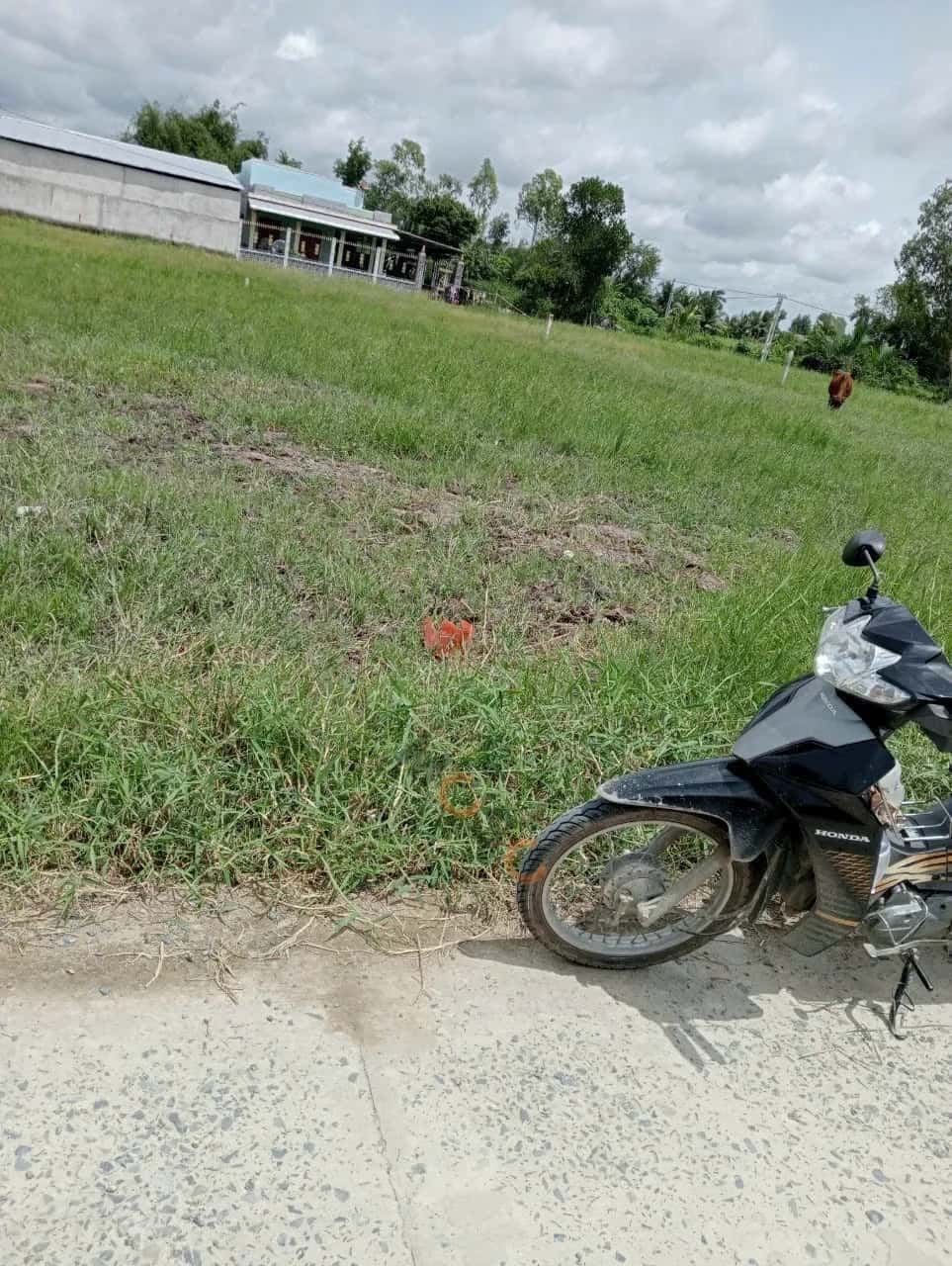 Bán đất Thửa 1028 - Tờ 26 ấp Muôn Nghiệp Thành phố Gò Công, Tiền Giang – giá 950 triệu — Hình 2 Bán đất Thửa 1028 - Tờ 26 ấp Muôn Nghiệp Thành phố Gò Công, Tiền Giang – giá 950 triệu — Hình 2