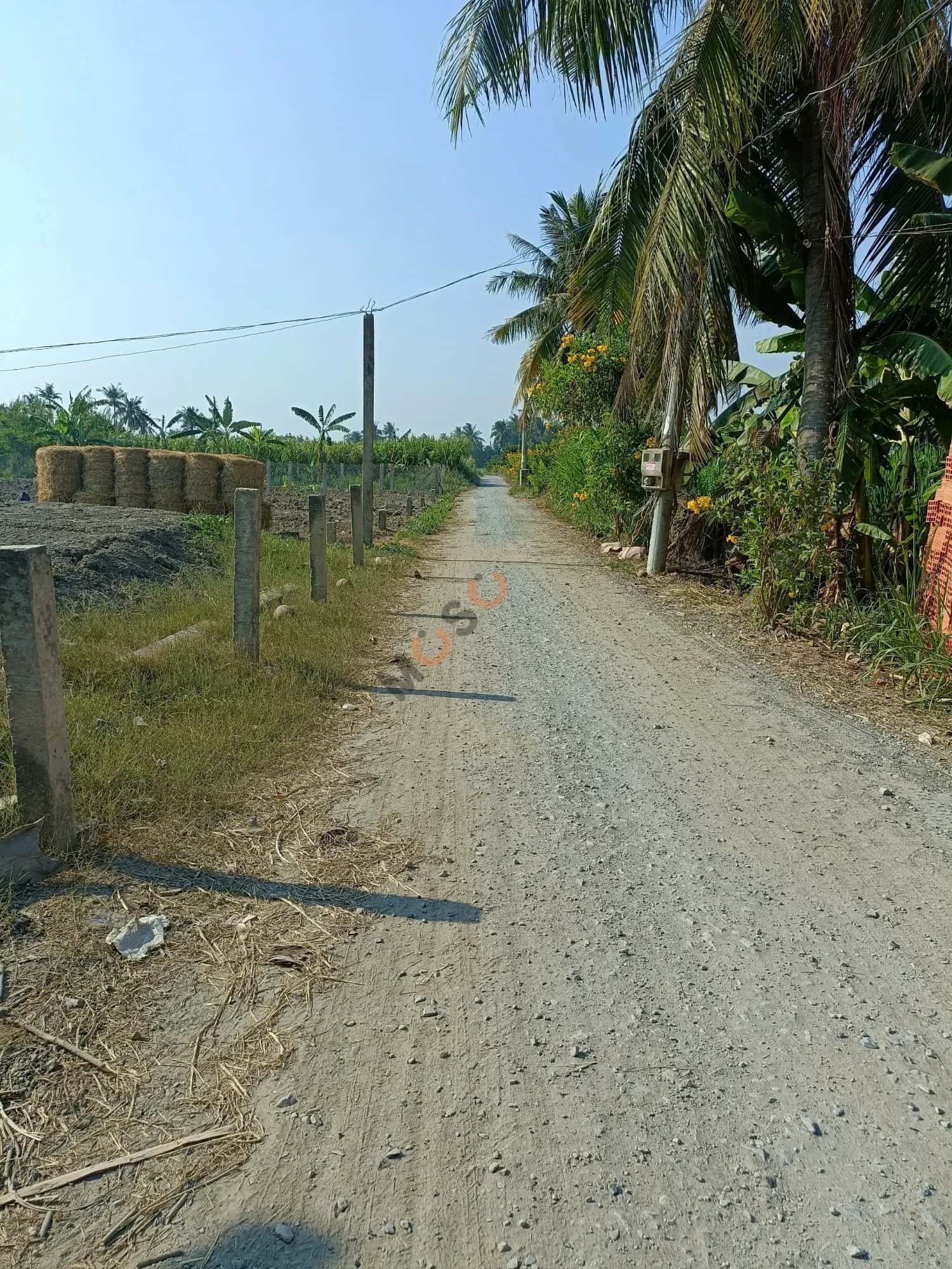 Bán đất Thửa 1098 - Tờ 6 ấp Bình Lạc Huyện Gò Công Tây, Tiền Giang – giá 500 triệu — Hình 2 Bán đất Thửa 1098 - Tờ 6 ấp Bình Lạc Huyện Gò Công Tây, Tiền Giang – giá 500 triệu — Hình 2