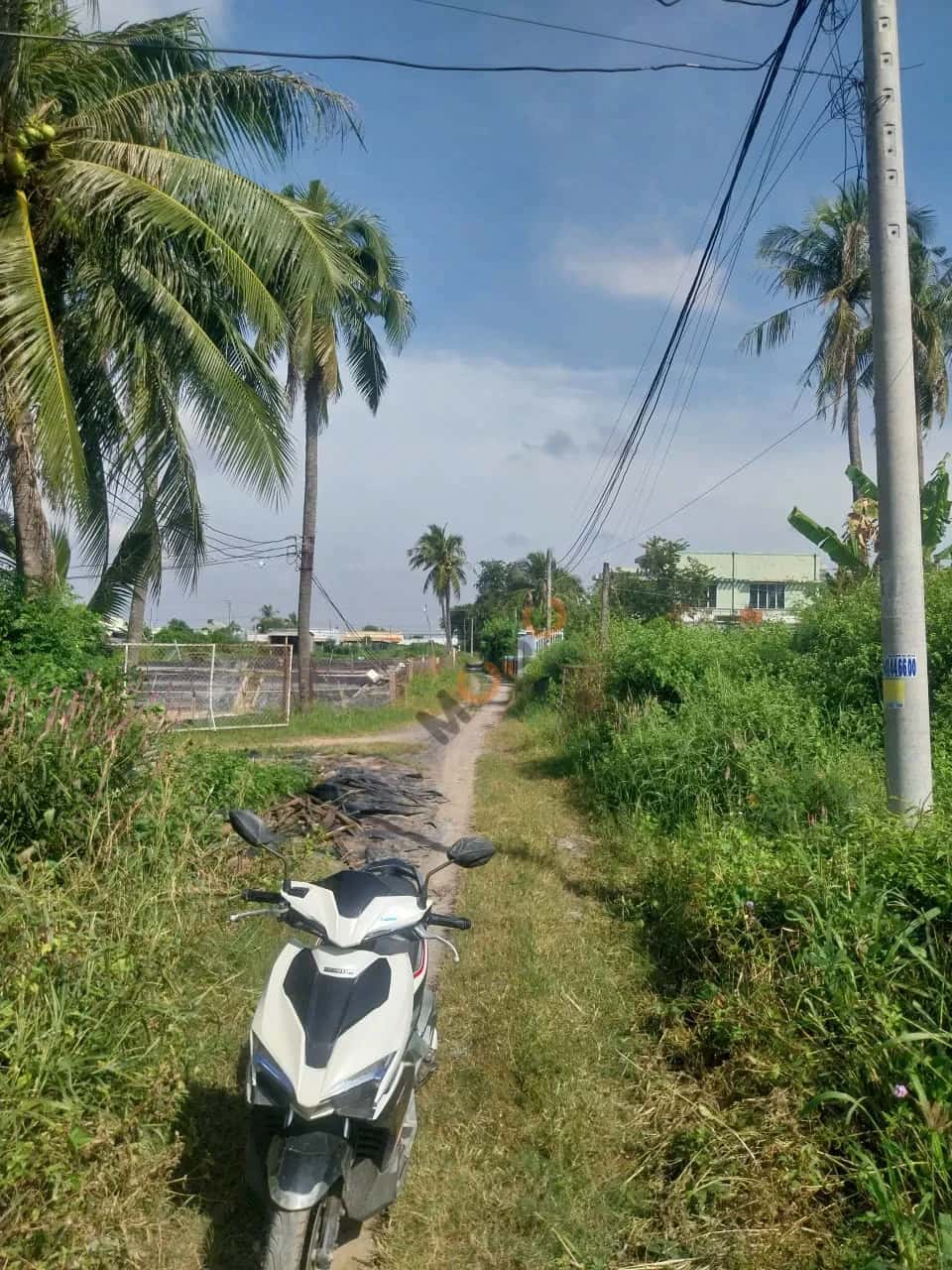 Bán đất Thửa 683 - Tờ 36 ấp Khương Ninh Huyện Gò Công Tây, Tiền Giang – giá 380 triệu — Hình 2