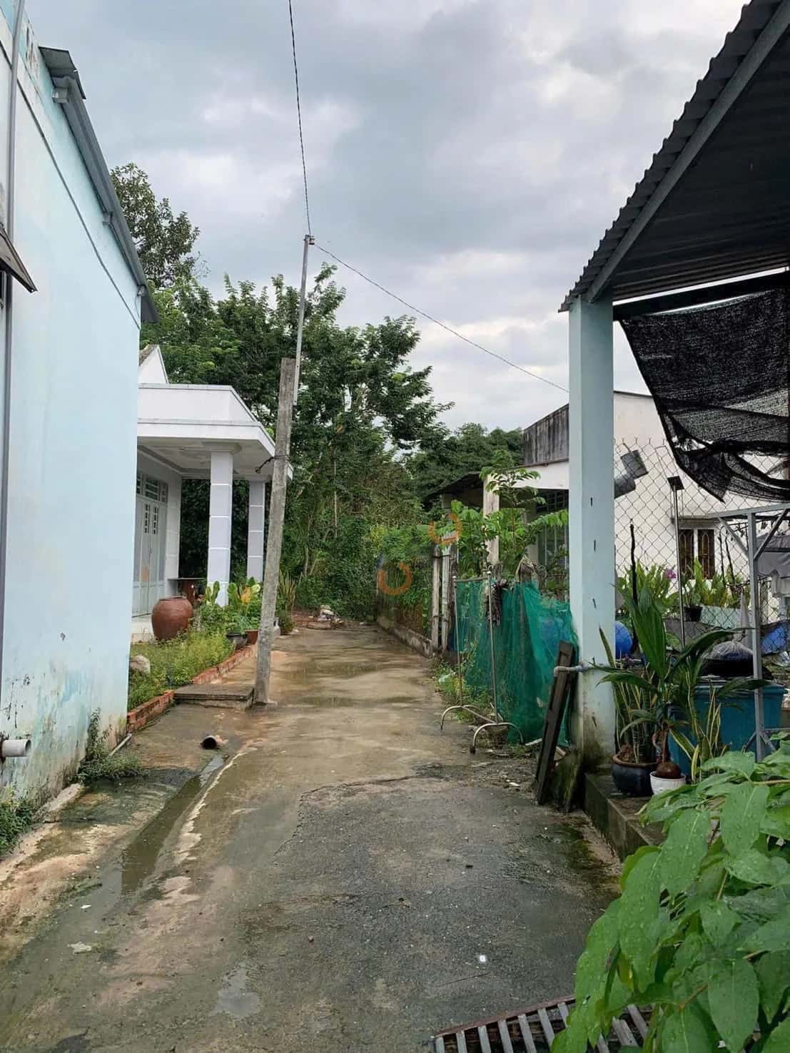 Bán đất Thửa 68 - Tờ 10 Đường Nguyễn Văn Cừ Thành phố Thủ Dầu Một, Bình Dương – giá 1.4 tỷ — Hình 3 Bán đất Thửa 68 - Tờ 10 Đường Nguyễn Văn Cừ Thành phố Thủ Dầu Một, Bình Dương – giá 1.4 tỷ — Hình 3