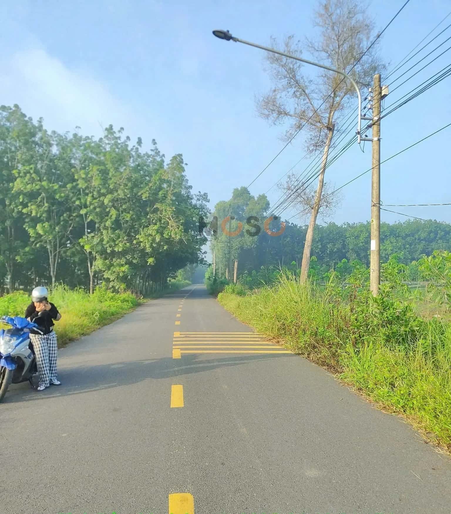 Bán đất Thửa 2331 - Tờ 29 Đường Chánh Phú Hòa 079 Thành phố Bến Cát, Bình Dương – giá 1.4 tỷ — Hình 3