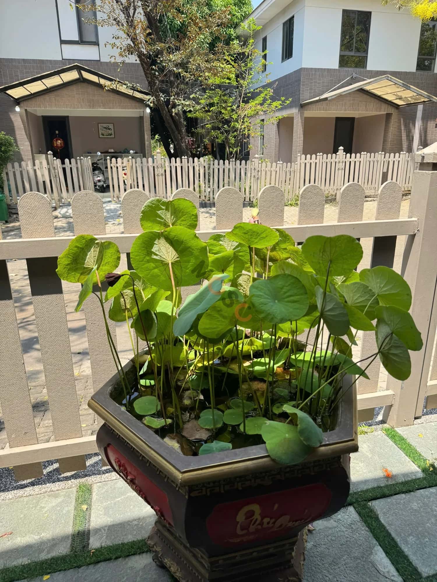 Hình ảnh nhà 2