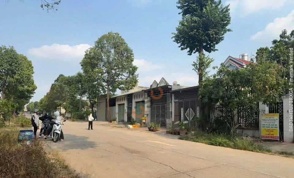 Bán đất Thửa 6686 - tờ 34 đường NJ21 Thành phố Bến Cát, Bình Dương – giá 4.8 tỷ — Hình 3