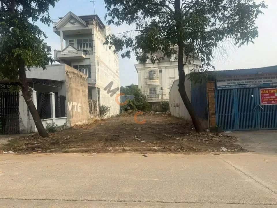 Bán đất Thửa 6686 - tờ 34 đường NJ21 Thành phố Bến Cát, Bình Dương – giá 4.8 tỷ — Hình 2