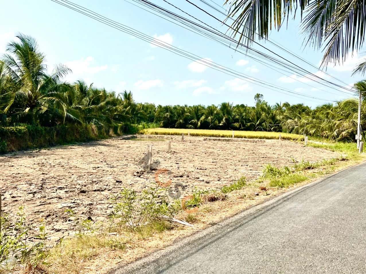Bán đất Thửa 787-1 - Tờ 7 Đường Lê Thị Lệ Chi Huyện Chợ Gạo, Tiền Giang – giá 700 triệu — Hình 2