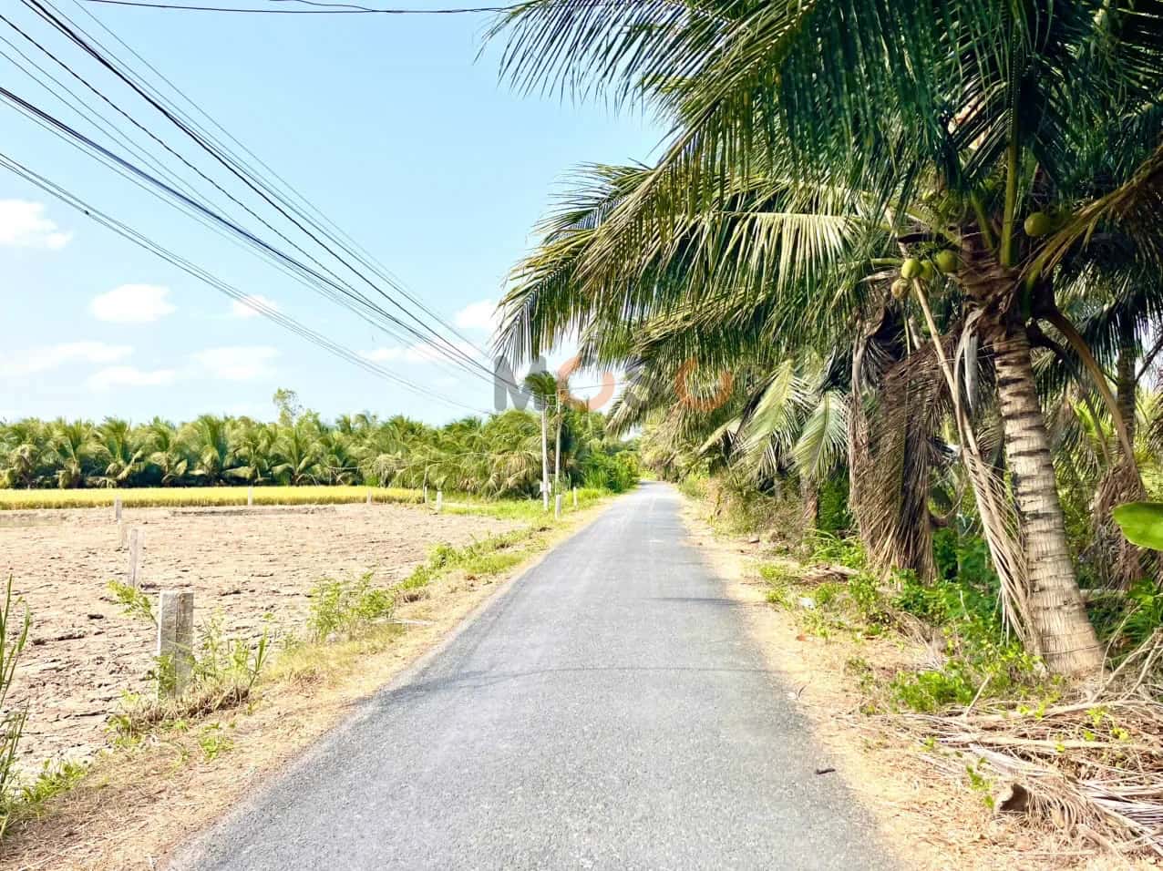 Bán đất Thửa 787-2 - Tờ 7 Đường Lê Thị Lệ Chi Huyện Chợ Gạo, Tiền Giang – giá 700 triệu — Hình 3