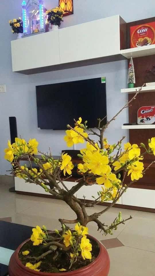 Hình ảnh nhà 3