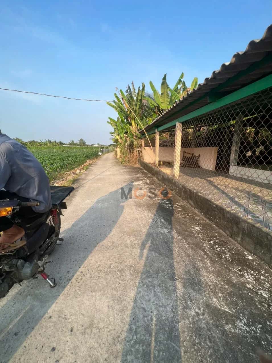 Bán đất Thửa 942 + 945 - Tờ 27 ấp Nghĩa Chí Huyện Gò Công Đông, Tiền Giang – giá 450 triệu — Hình 3