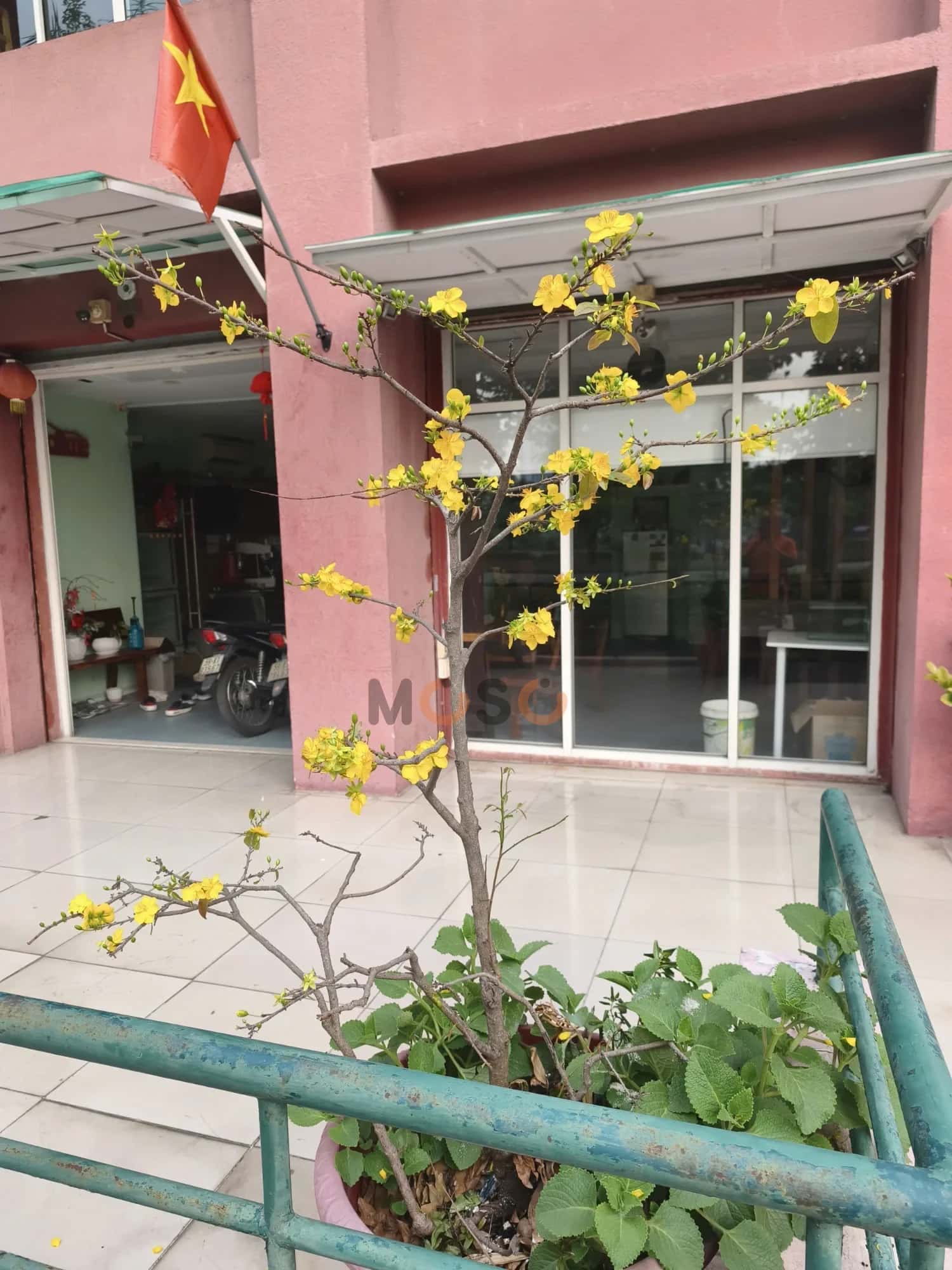 Cho thuê nhà mặt tiền 13B Nguyễn Văn Linh Huyện Bình Chánh, TP.HCM – giá 12 triệu