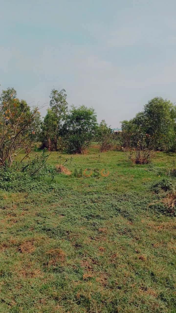 Hình ảnh nhà 2