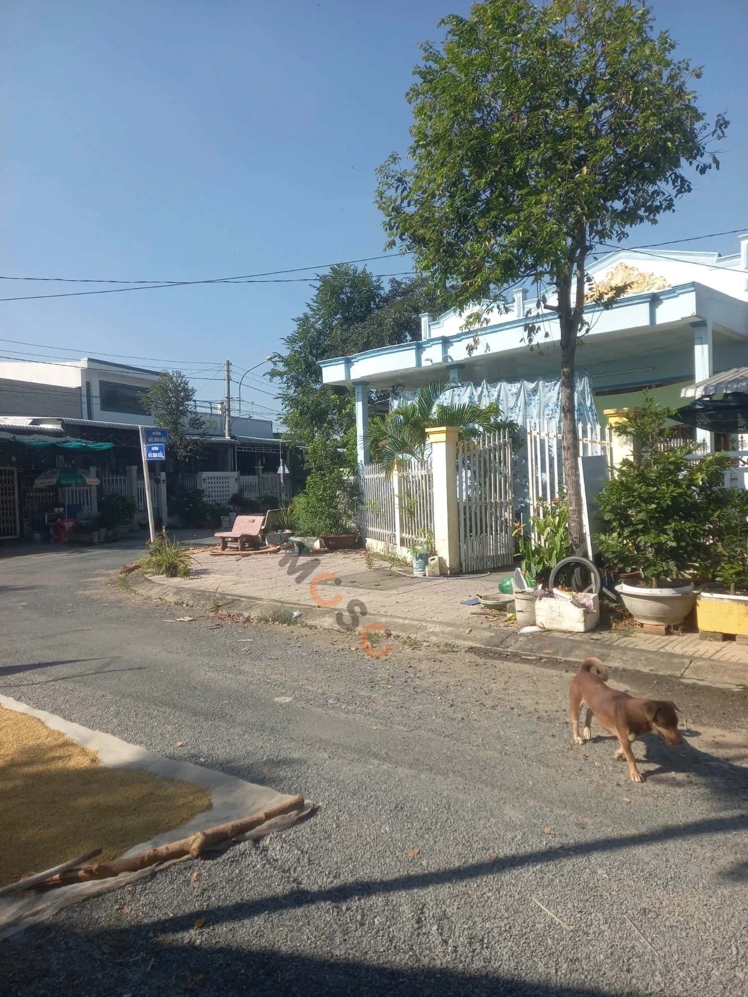 Bán nhà mặt tiền Thửa 85 - Tờ 66 Đường Đốc Binh Kiều Huyện Tam Nông, Đồng Tháp – 2 phòng ngủ, giá 1.8 tỷ — Hình 2