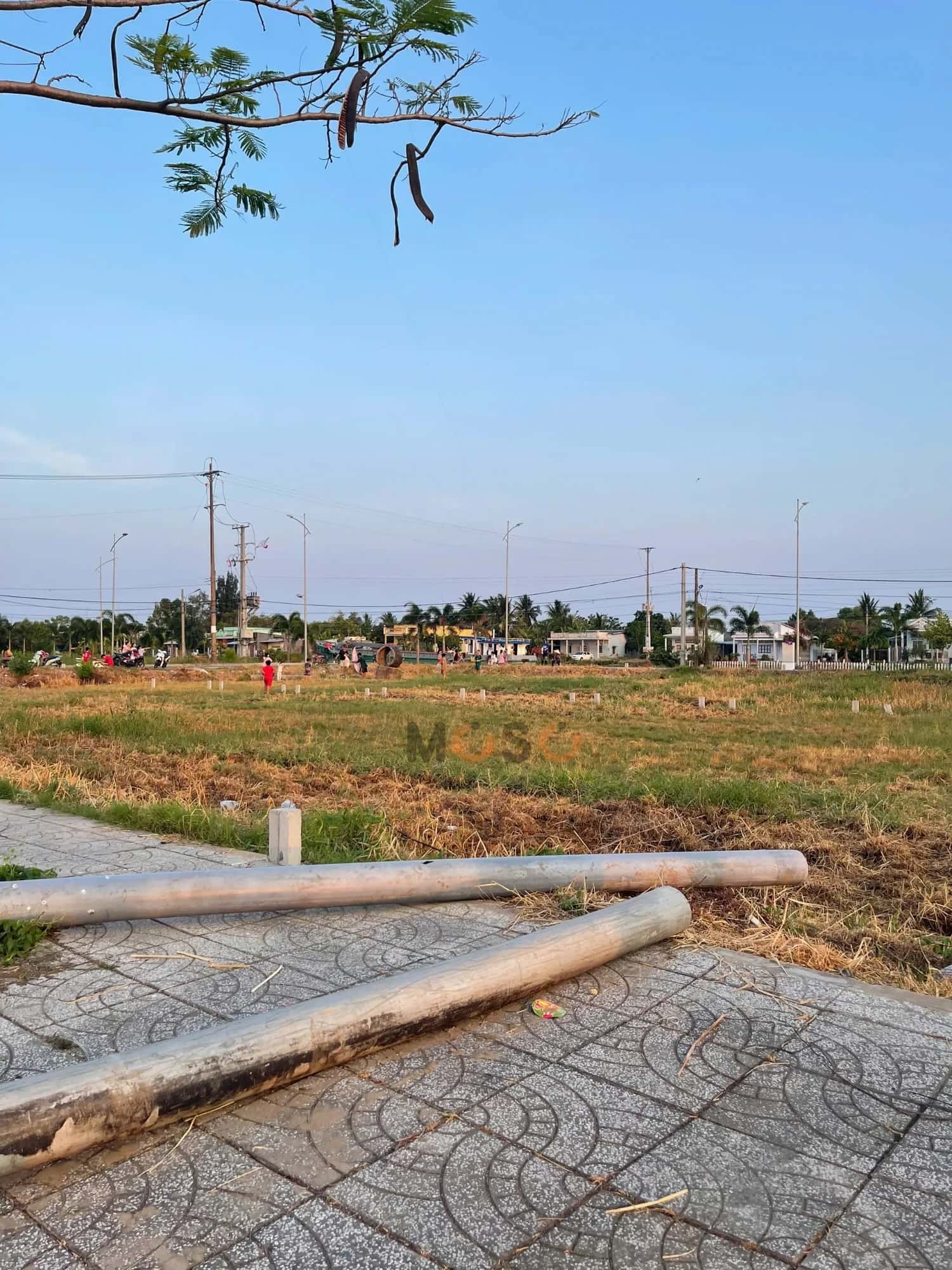 Bán đất Quốc lộ 1A Huyện Hoà Bình, Bạc Liêu – giá 1.1 tỷ — Hình 2
