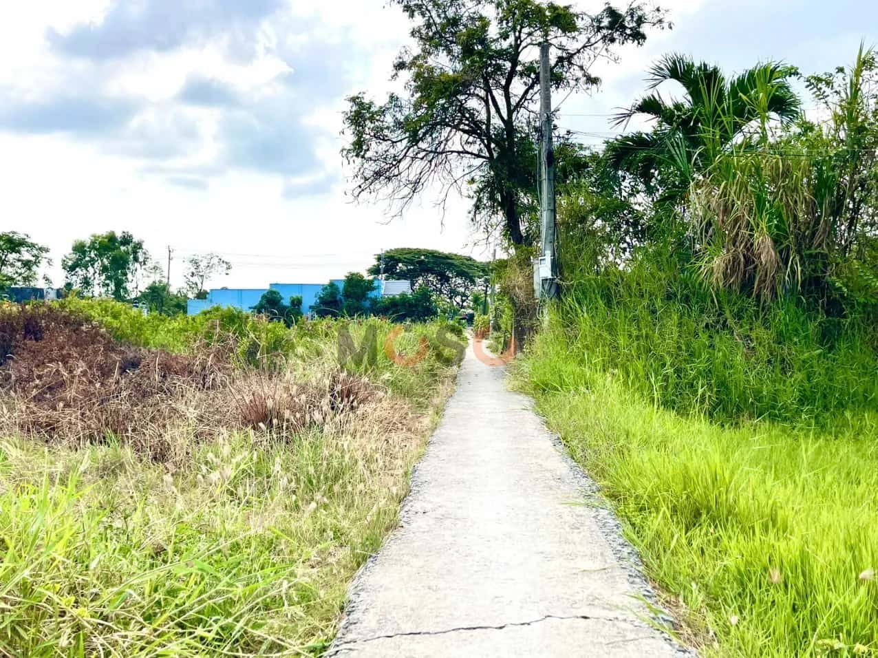 Bán đất ấp Sơn Qui A Thành phố Gò Công, Tiền Giang – giá 340 triệu — Hình 3 Bán đất ấp Sơn Qui A Thành phố Gò Công, Tiền Giang – giá 340 triệu — Hình 3