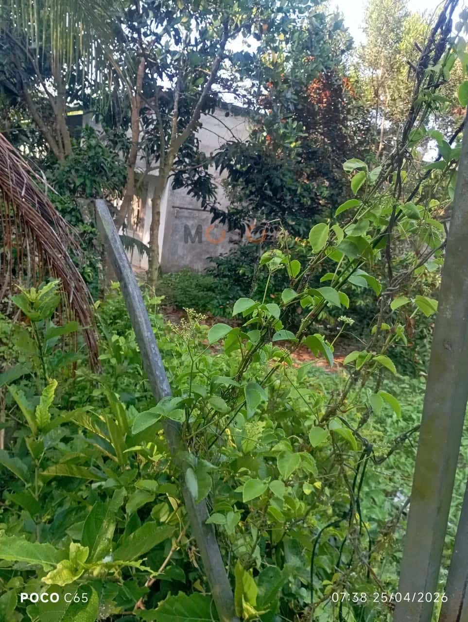 Bán đất Đường Kênh Thủy Lợi Huyện Châu Thành A, Hậu Giang – giá 470 triệu — Hình 3