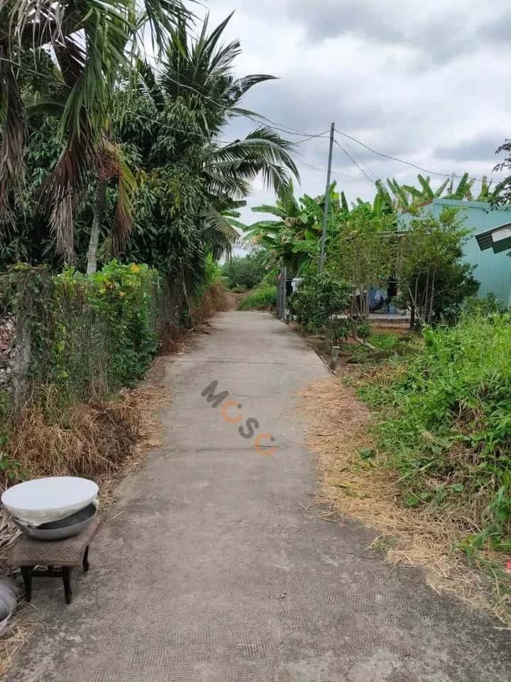 Hình ảnh nhà 3