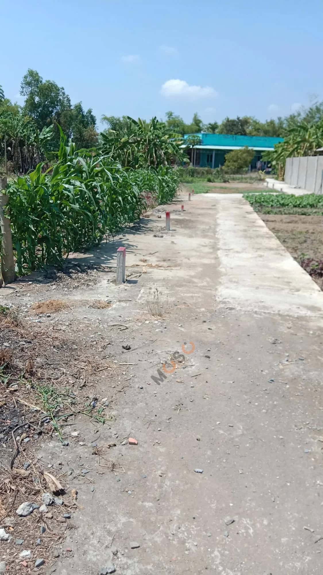 Hình ảnh nhà 3