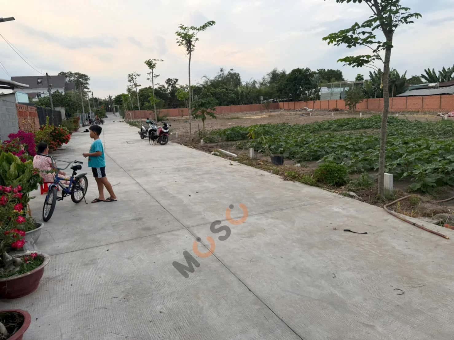 Bán đất Đường Tỉnh Lộ 15 Huyện Củ Chi, TP.HCM – giá 1.3 tỷ — Hình 3