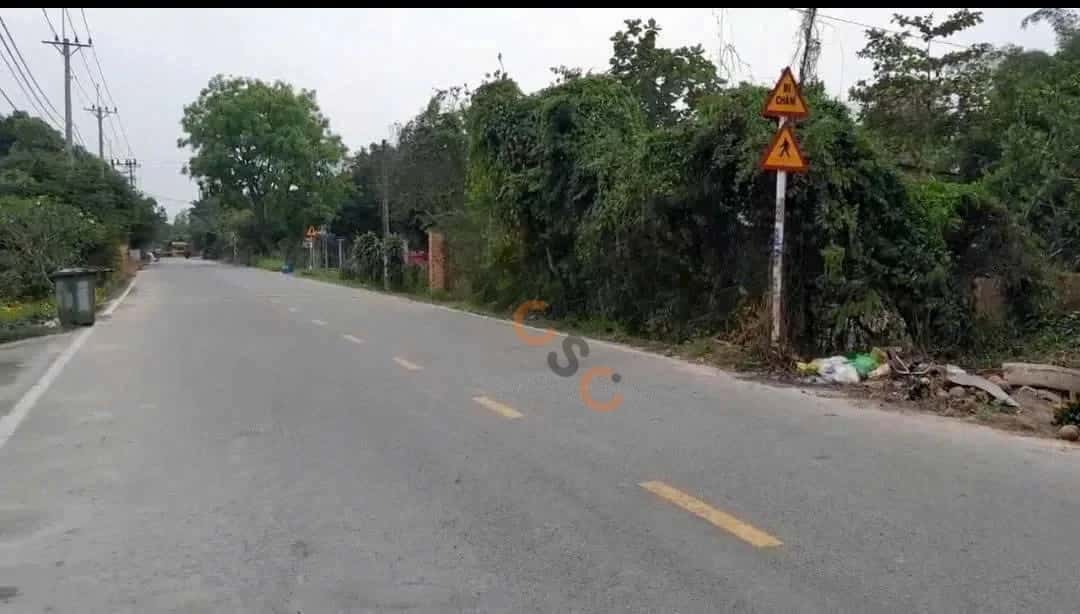 Bán đất đường 501 Huyện Củ Chi, TP.HCM – giá 1.8 tỷ — Hình 2