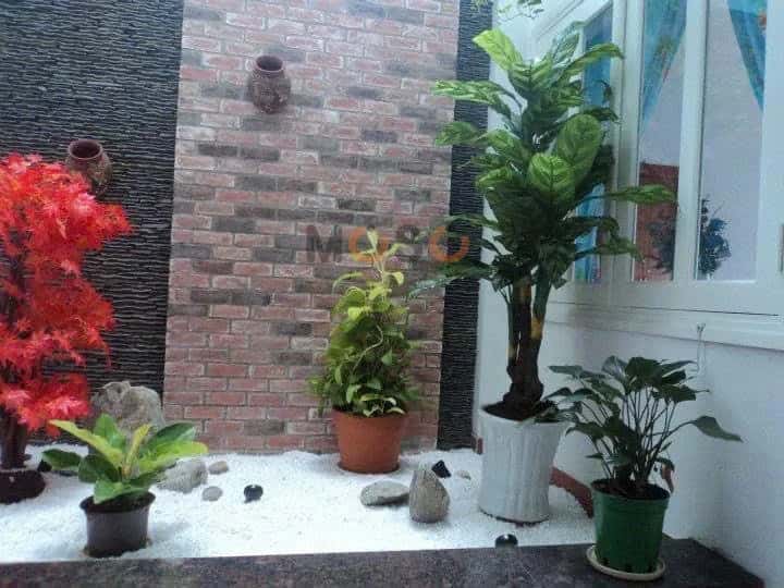 Hình ảnh nhà 3
