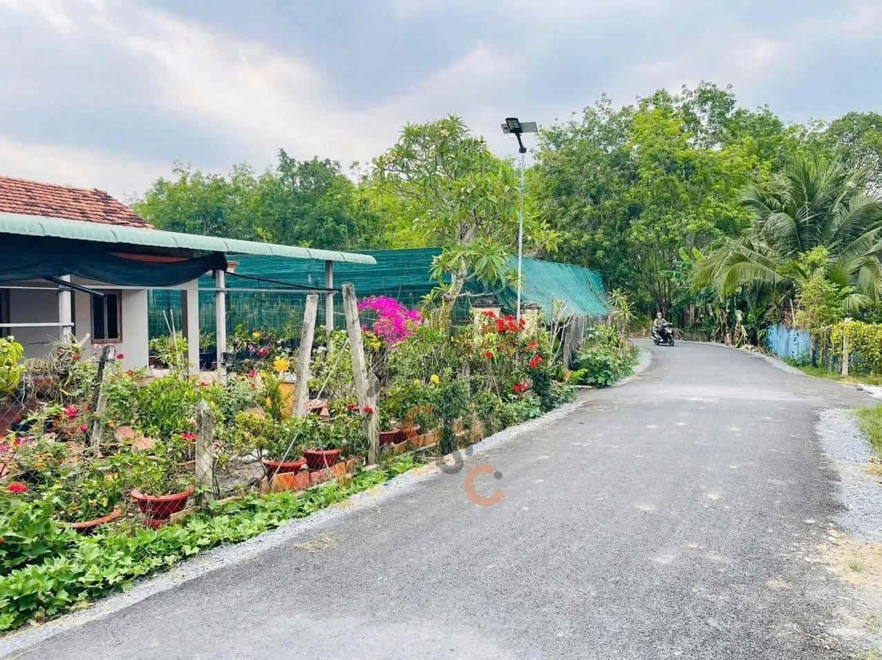 Hình ảnh nhà 3