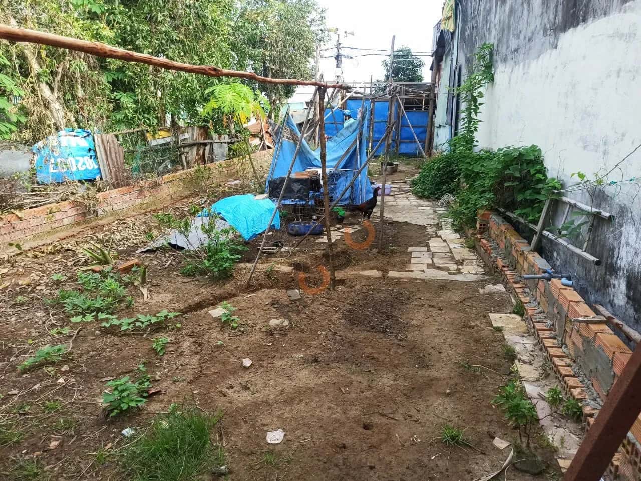 Bán đất hẻm đường Trần Quang Đạo  Huyện Cần Giờ, TP.HCM – giá 1.8 tỷ