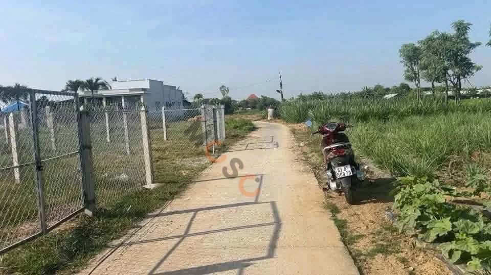 Bán đất Đường Hiệp Trị - Bưng Trên Huyện Gò Công Đông, Tiền Giang – giá 350 triệu — Hình 2