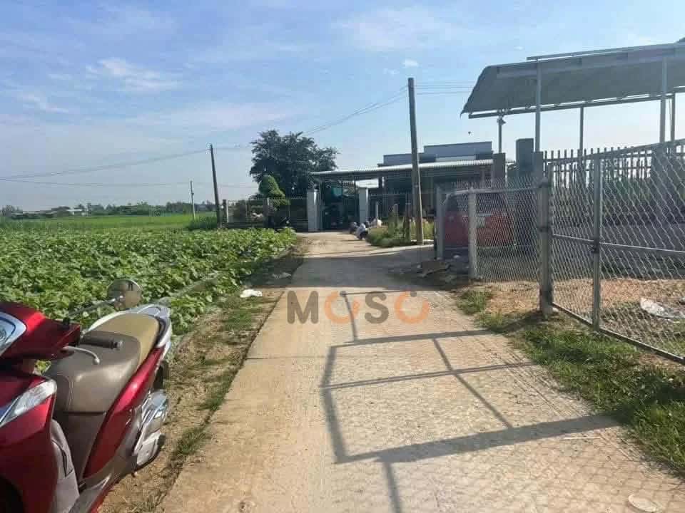 Bán đất Đường Hiệp Trị - Bưng Trên Huyện Gò Công Đông, Tiền Giang – giá 350 triệu — Hình 3