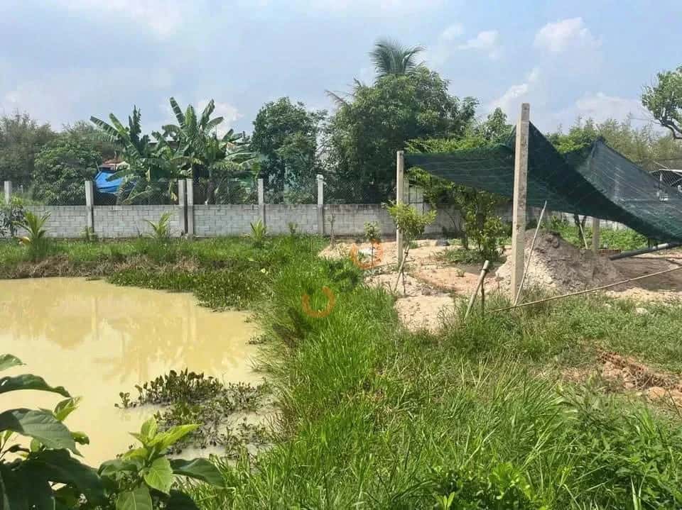 Bán đất Quốc Lộ 22 Huyện Củ Chi, TP.HCM – giá 2.4 tỷ — Hình 2 Bán đất Quốc Lộ 22 Huyện Củ Chi, TP.HCM – giá 2.4 tỷ — Hình 2