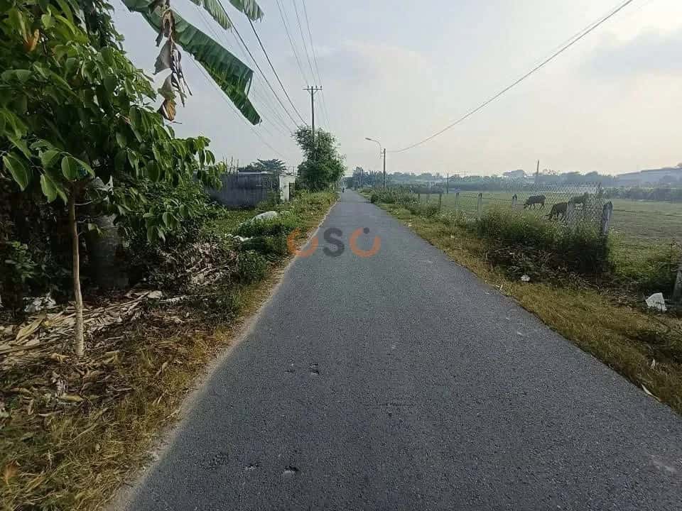 Bán đất Trần Quang Đạo Huyện Củ Chi, TP.HCM – giá 5.9 tỷ — Hình 3