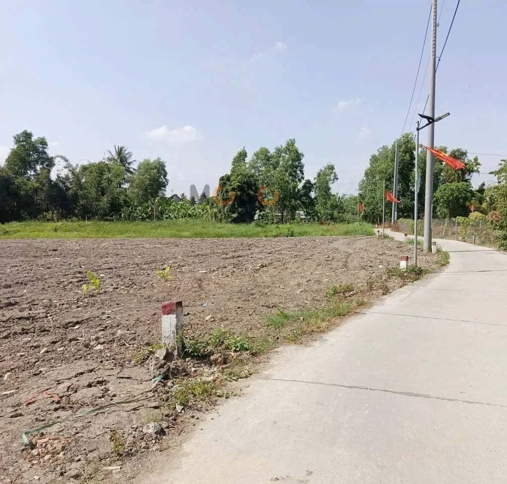 Hình ảnh nhà 2
