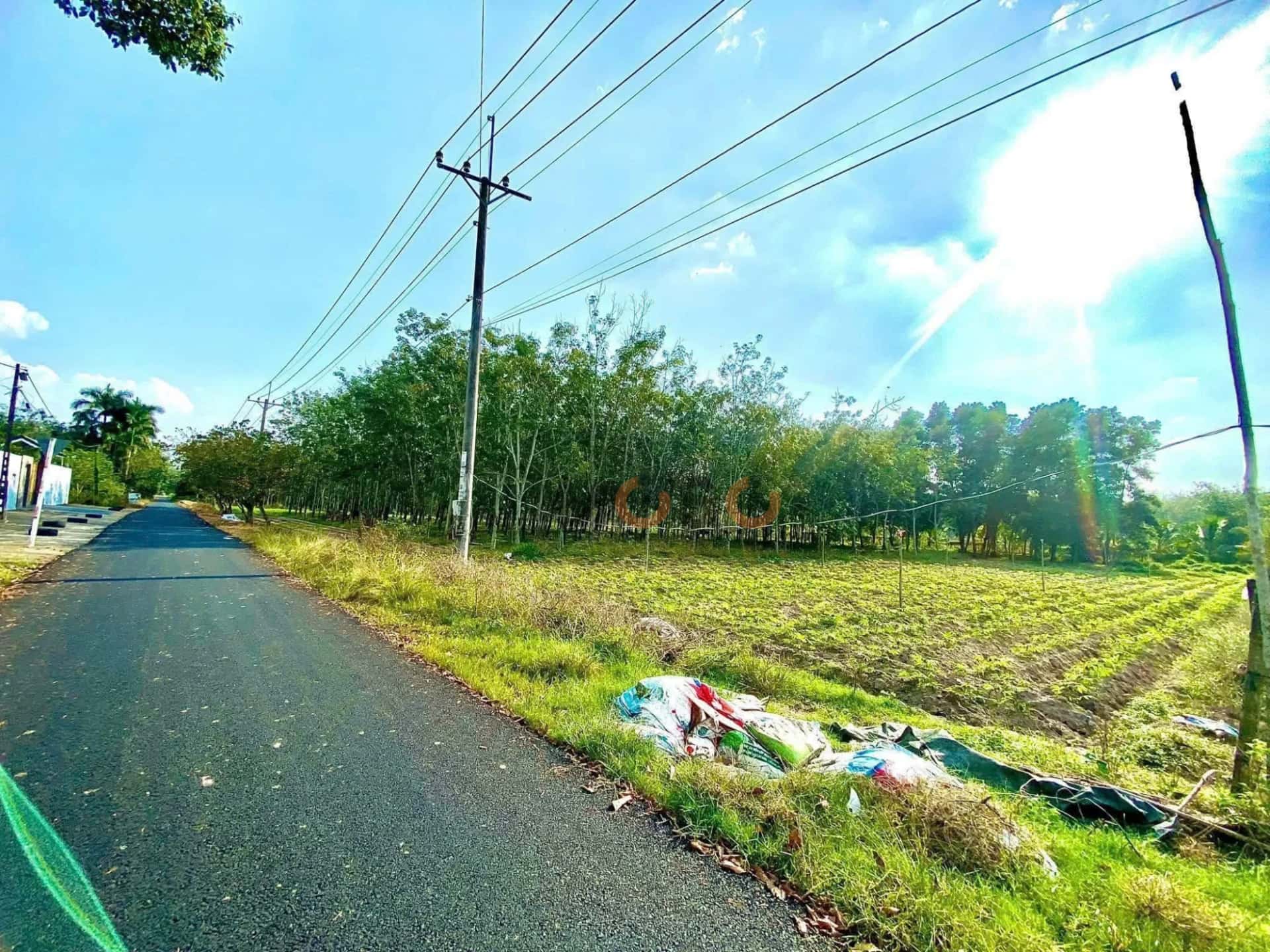 Bán đất Phạm Thới Quới Huyện Củ Chi, TP.HCM – giá 3.6 tỷ — Hình 3 Bán đất Phạm Thới Quới Huyện Củ Chi, TP.HCM – giá 3.6 tỷ — Hình 3