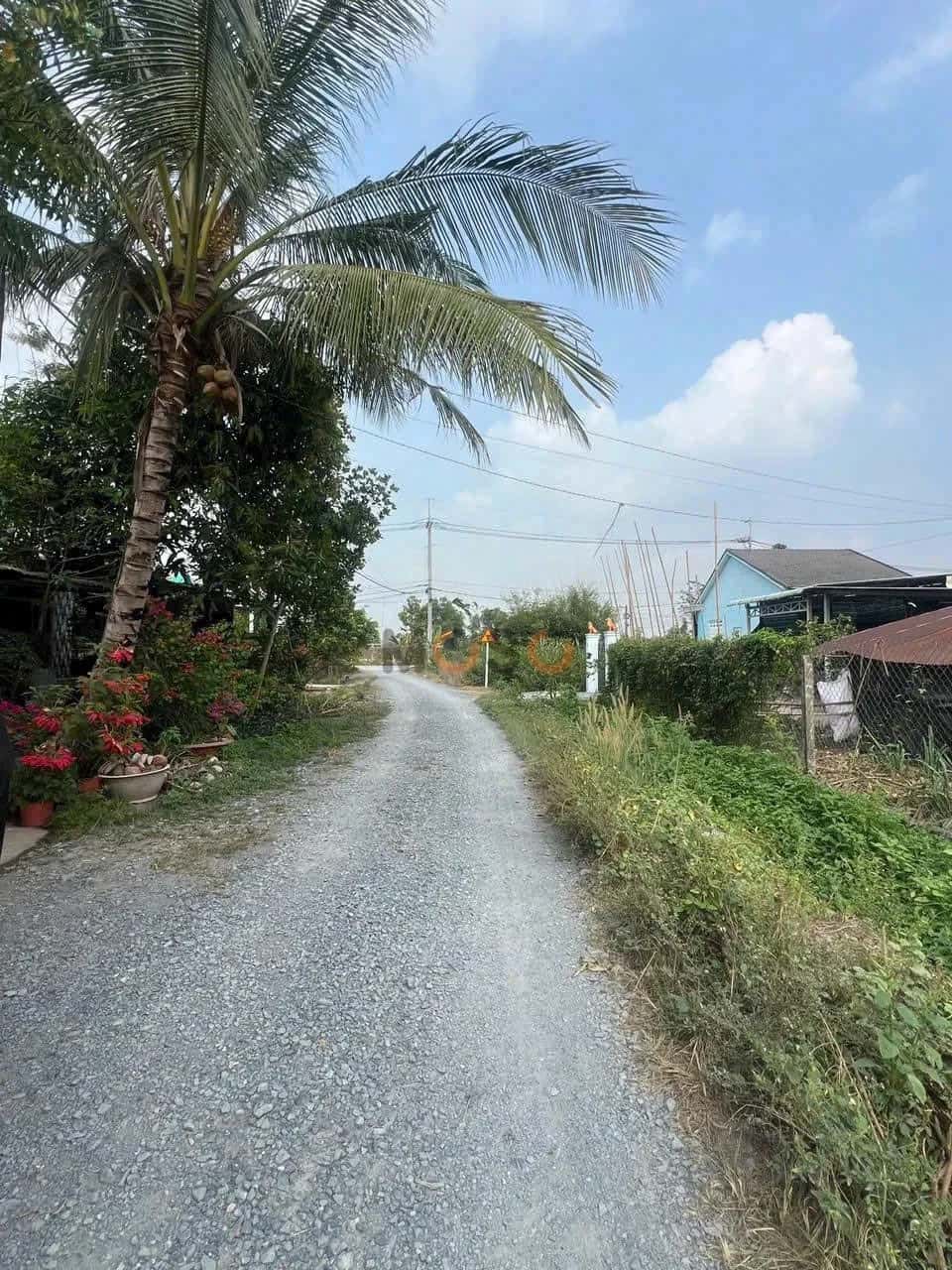 Bán đất đường 669 Huyện Củ Chi, TP.HCM – giá 1.8 tỷ — Hình 3 Bán đất đường 669 Huyện Củ Chi, TP.HCM – giá 1.8 tỷ — Hình 3