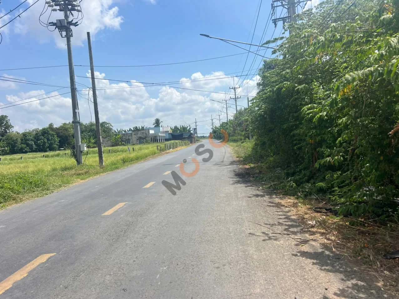 Bán đất đường ĐT872B Huyện Gò Công Tây, Tiền Giang – giá 539 triệu — Hình 3