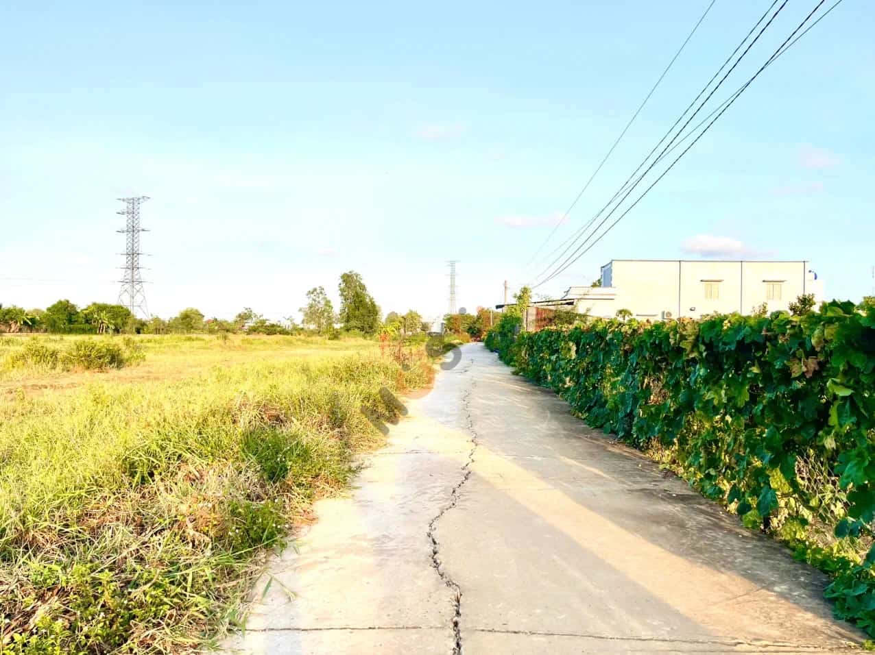 Bán đất ấp Thuận Trị Huyện Gò Công Tây, Tiền Giang – giá 350 triệu — Hình 3 Bán đất ấp Thuận Trị Huyện Gò Công Tây, Tiền Giang – giá 350 triệu — Hình 3