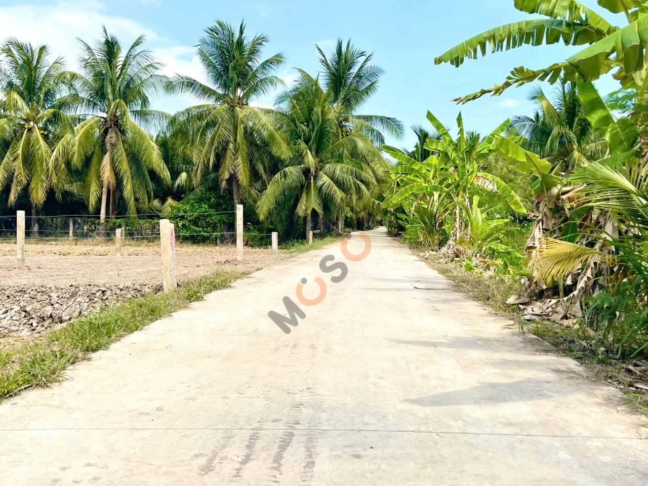 Bán đất ấp Hòa Thạnh Huyện Chợ Gạo, Tiền Giang – giá 375 triệu — Hình 3