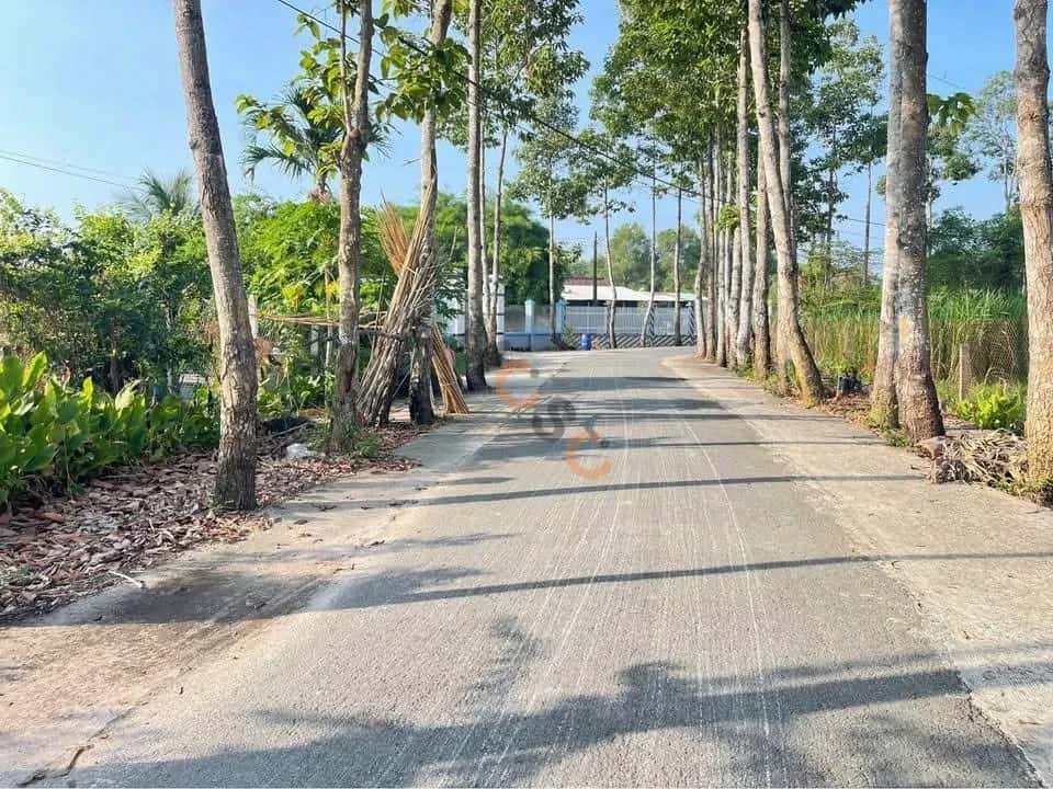 Hình ảnh nhà 3