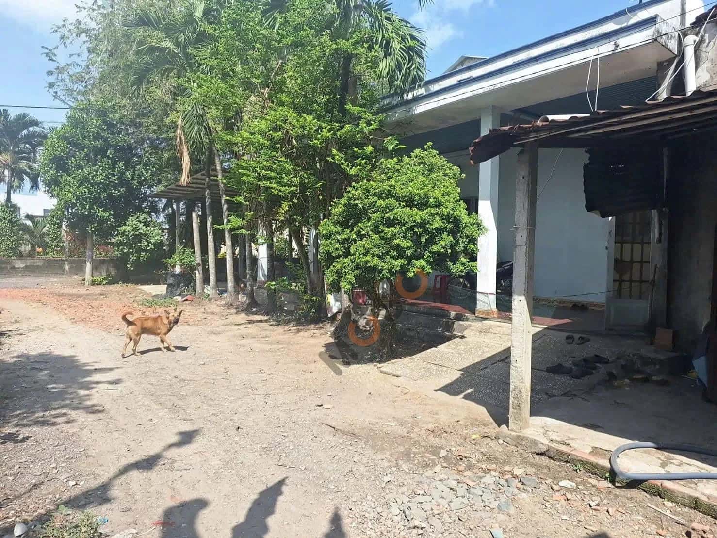 Bán nhà hẻm ấp Tiền Huyện Củ Chi, TP.HCM – 2 phòng ngủ, giá 2.5 tỷ — Hình 3 Bán nhà hẻm ấp Tiền Huyện Củ Chi, TP.HCM – 2 phòng ngủ, giá 2.5 tỷ — Hình 3