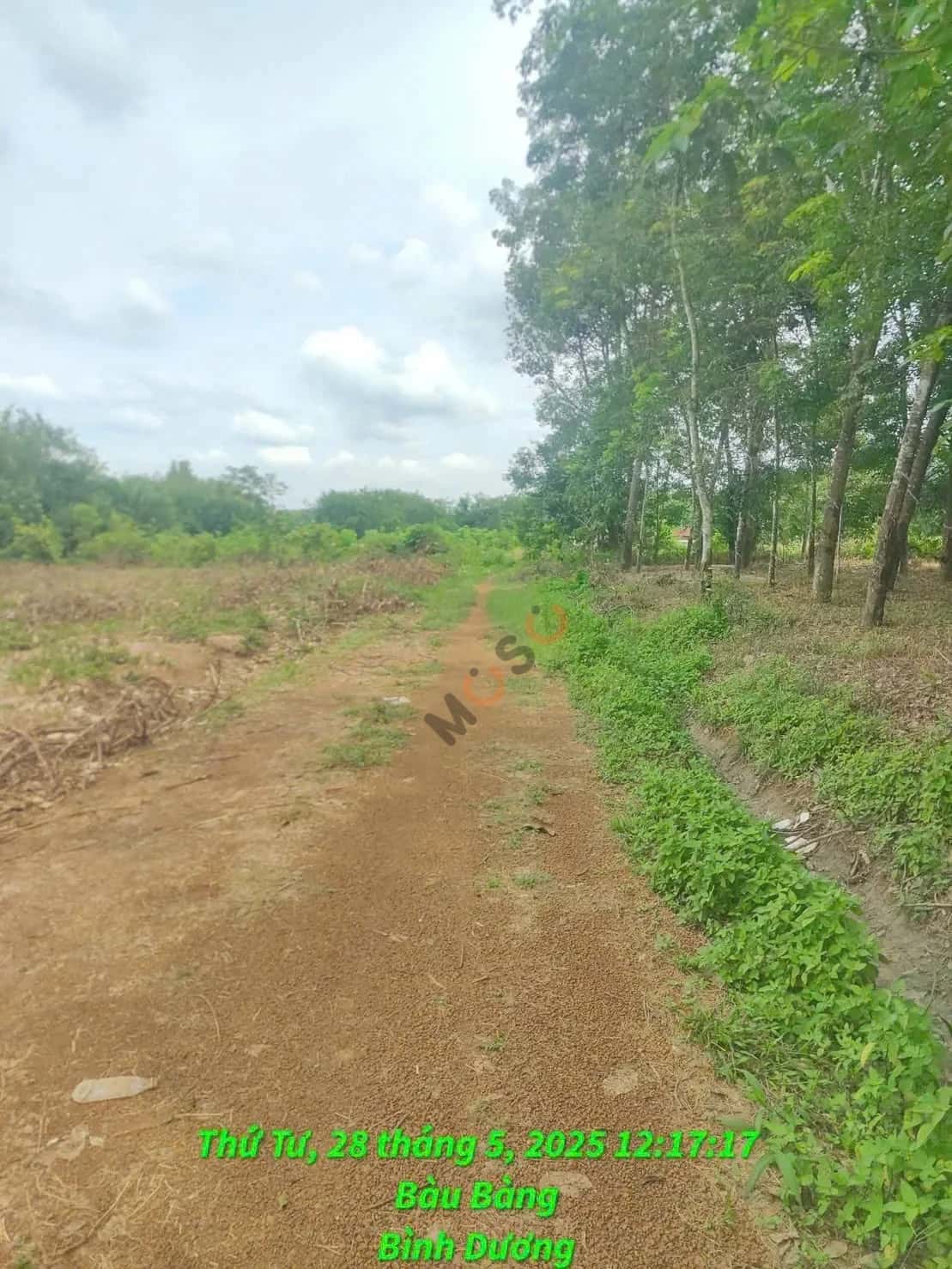 Bán đất Đường Long Nguyên 27 Huyện Bàu Bàng, Bình Dương – giá 4.5 tỷ — Hình 2 Bán đất Đường Long Nguyên 27 Huyện Bàu Bàng, Bình Dương – giá 4.5 tỷ — Hình 2