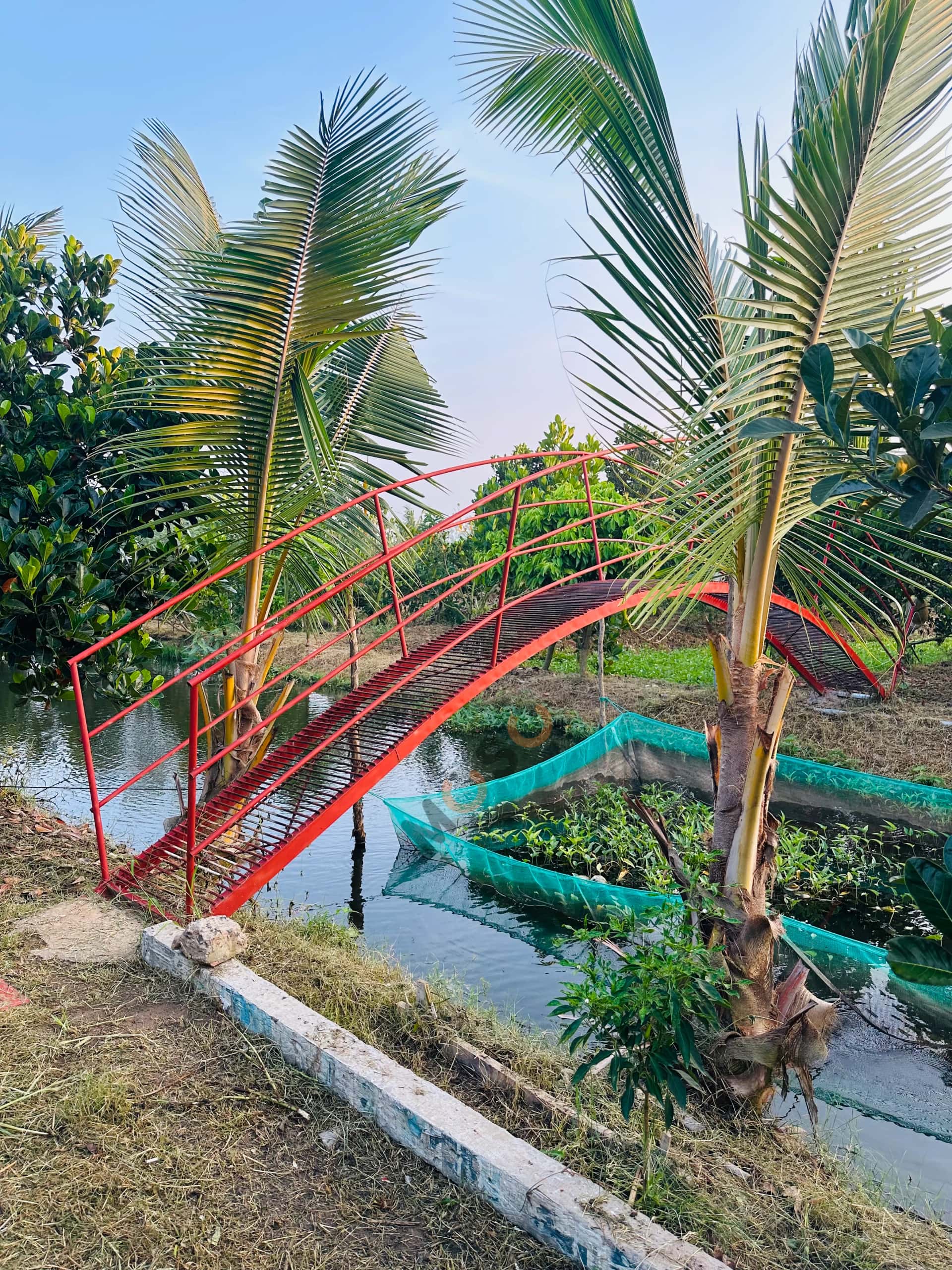Bán đất Đường Bờ Bắc Kênh K25 Huyện Tháp Mười, Đồng Tháp – giá 4.2 tỷ — Hình 3