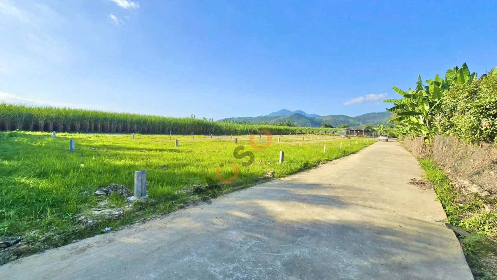 Bán đất Thành Hồ, thôn Phước Tuy Huyện Diên Khánh, Khánh Hòa – giá 650 triệu — Hình 2