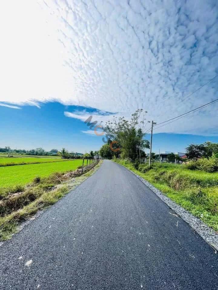 Bán đất Nguyễn Thị Rành Huyện Củ Chi, TP.HCM – giá 1.3 tỷ — Hình 3