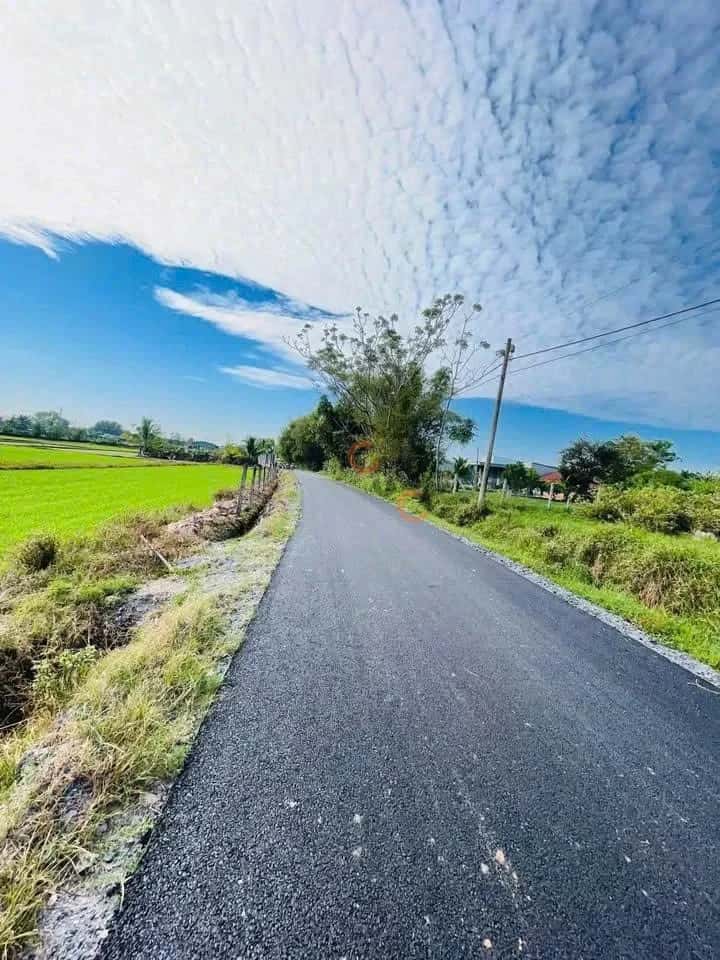 Bán đất Nguyễn Thị Rành Huyện Củ Chi, TP.HCM – giá 1.3 tỷ — Hình 2