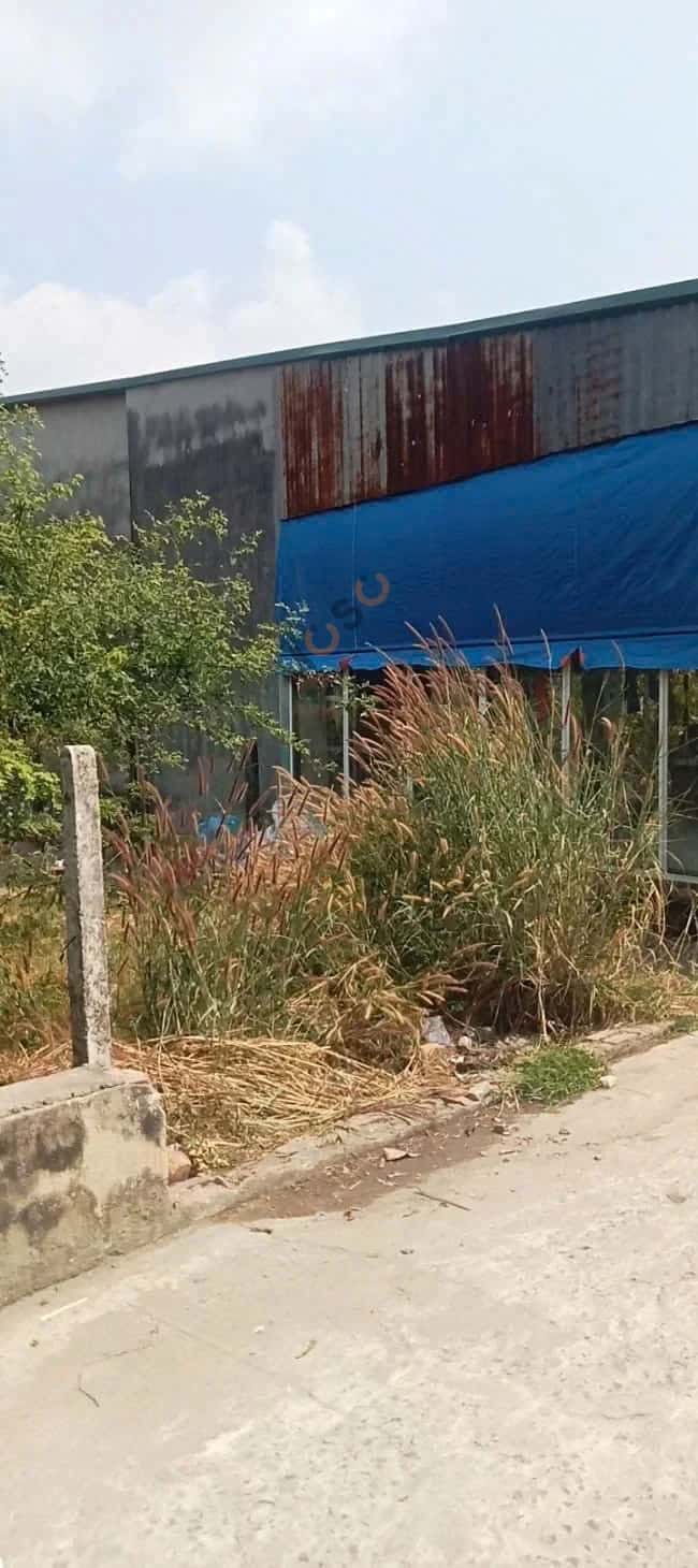 Bán đất Ấp Long Giao Huyện Bến Cầu, Tây Ninh – giá 390 tỷ — Hình 3