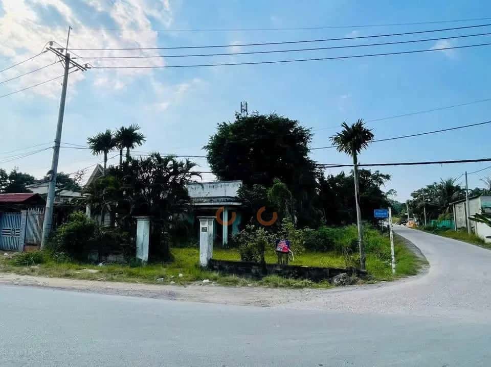Bán đất Nguyễn Văn Khạ Huyện Củ Chi, TP.HCM – giá 6.2 tỷ — Hình 2