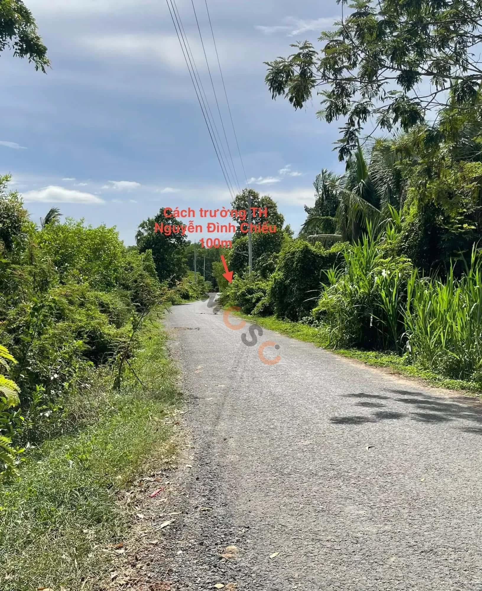 Bán đất Ấp Trường Huyện Châu Thành, Tây Ninh – giá 290 triệu — Hình 2