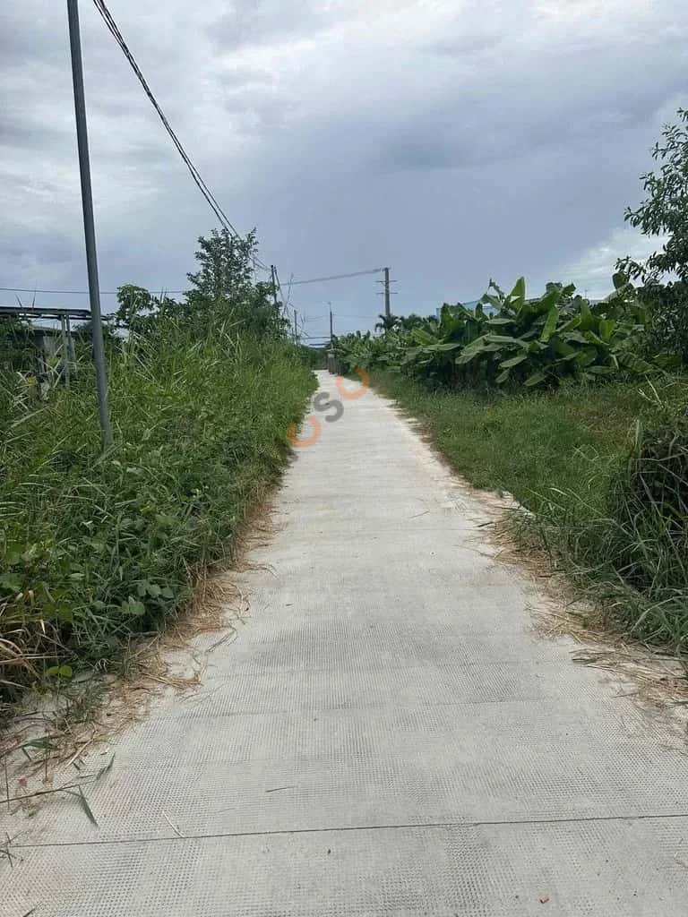 Hình ảnh nhà 2