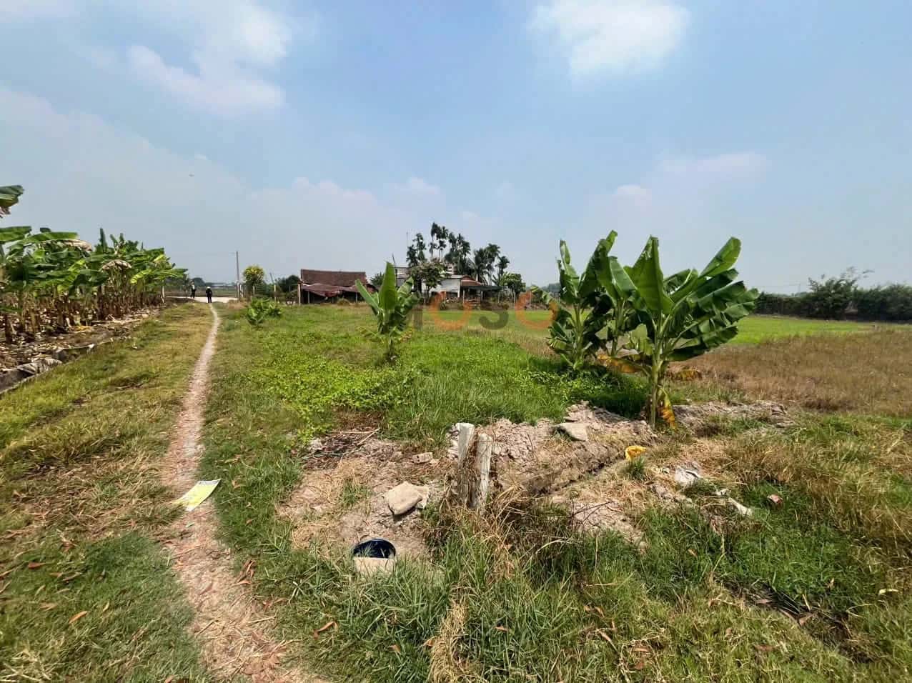 Hình ảnh nhà 3