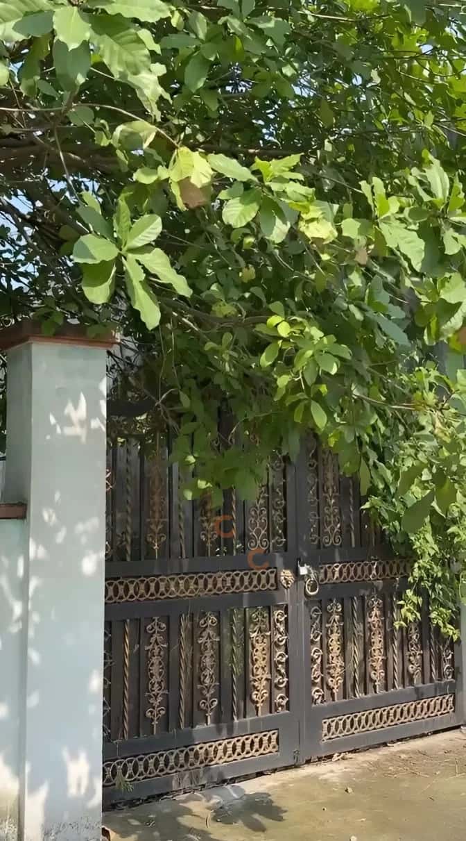 Bán đất Tỉnh Lộ 8 Huyện Củ Chi, TP.HCM – giá 2.8 tỷ — Hình 2 Bán đất Tỉnh Lộ 8 Huyện Củ Chi, TP.HCM – giá 2.8 tỷ — Hình 2