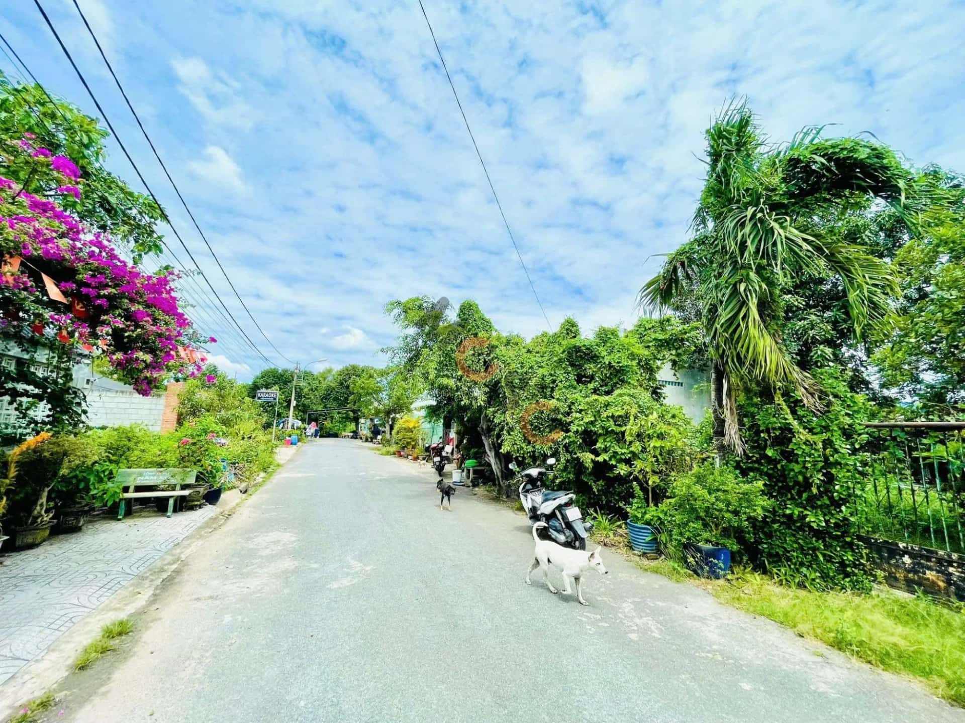 Hình ảnh nhà 3